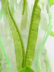 Косметичка женская, для бассейна