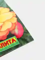 Семена цветы "Бегония Он топ сансет шэйдз"