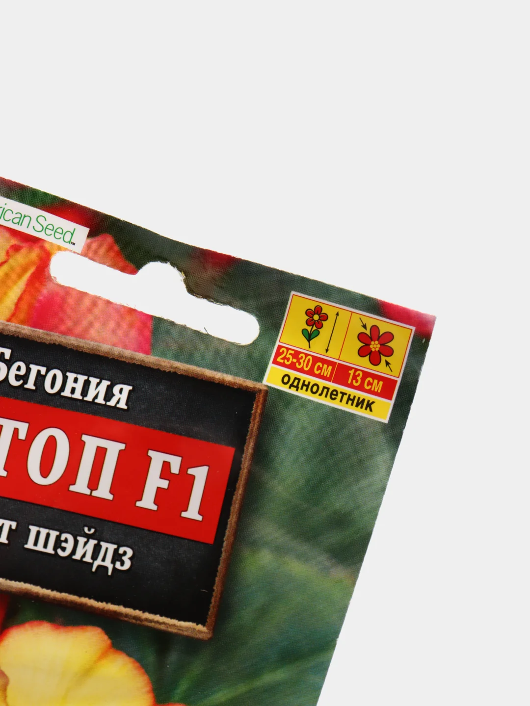 Семена цветы "Бегония Он топ сансет шэйдз"
