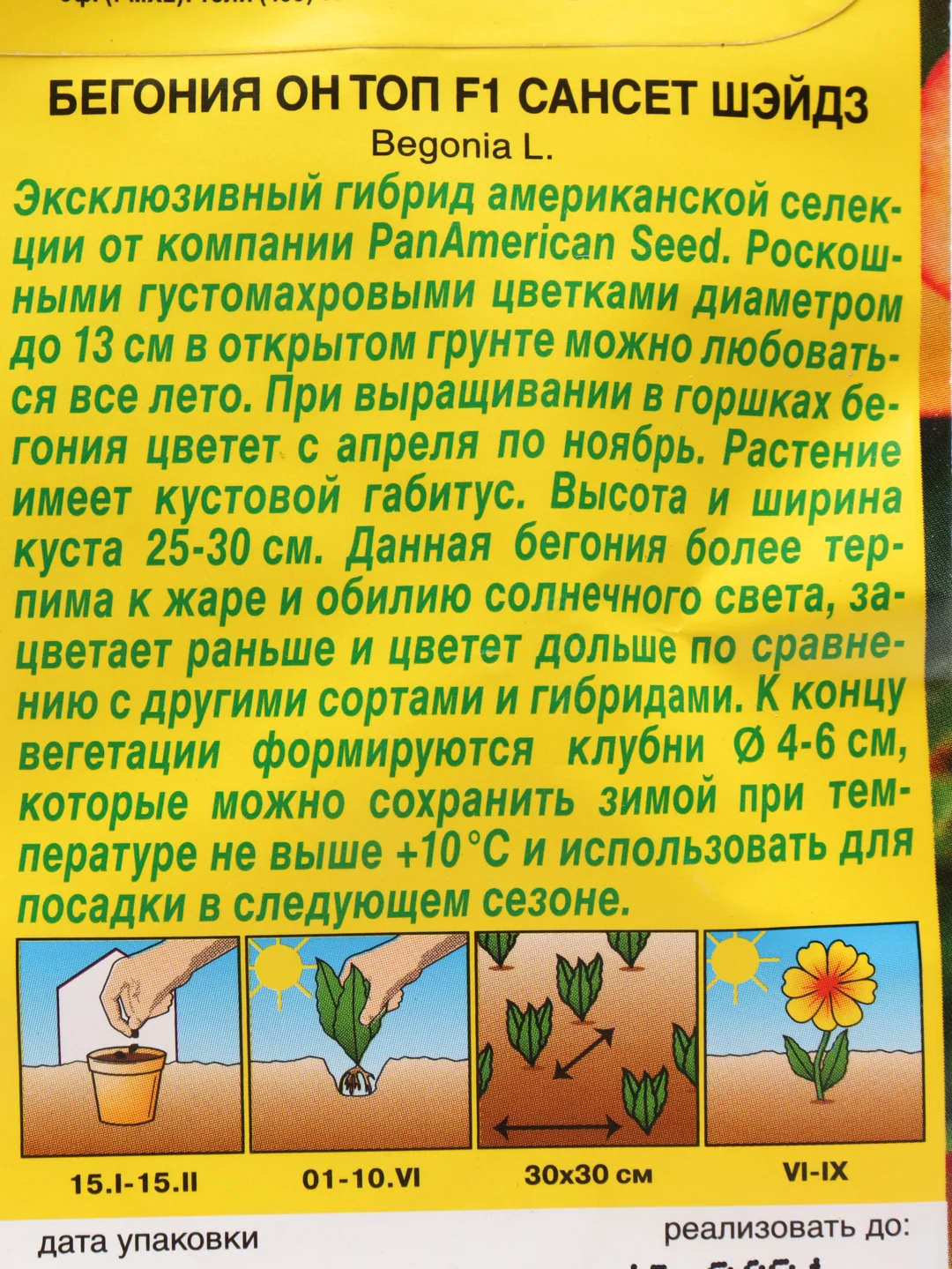 Семена цветы "Бегония Он топ сансет шэйдз"