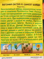 Семена цветы "Бегония Он топ сансет шэйдз"
