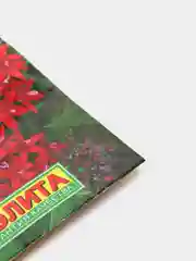 Пентас Лаки стар дарк ред (семена,цветы)