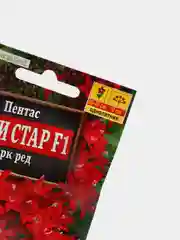 Пентас Лаки стар дарк ред (семена,цветы)