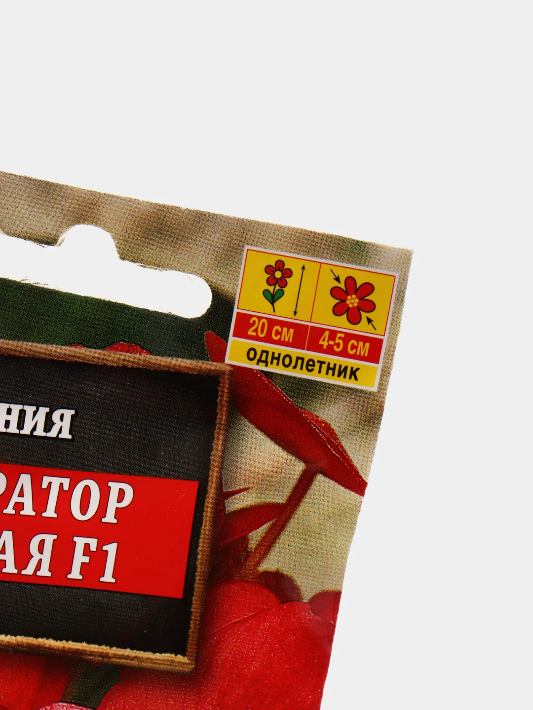 Бегония Император красная (семена,цветы)