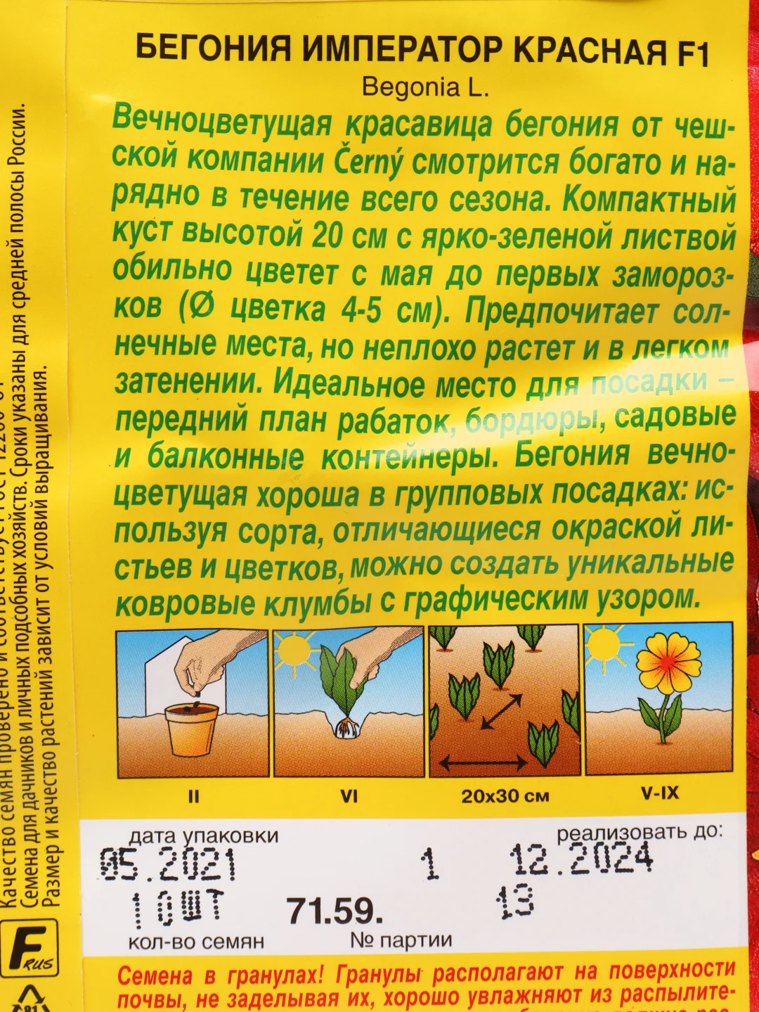 Бегония Император красная (семена,цветы)