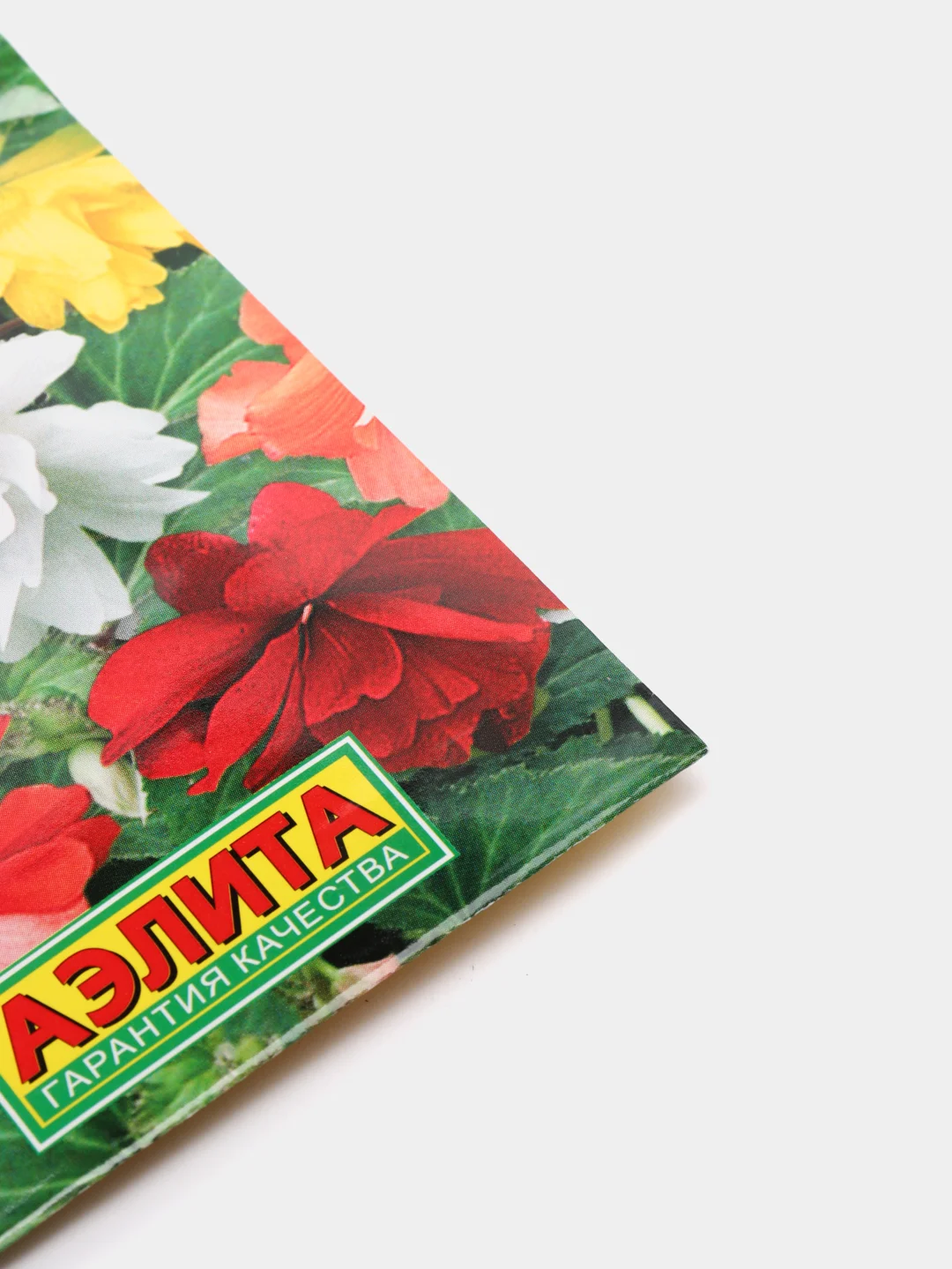 Бегония Шансон ампельная смесь (семена,цветы)
