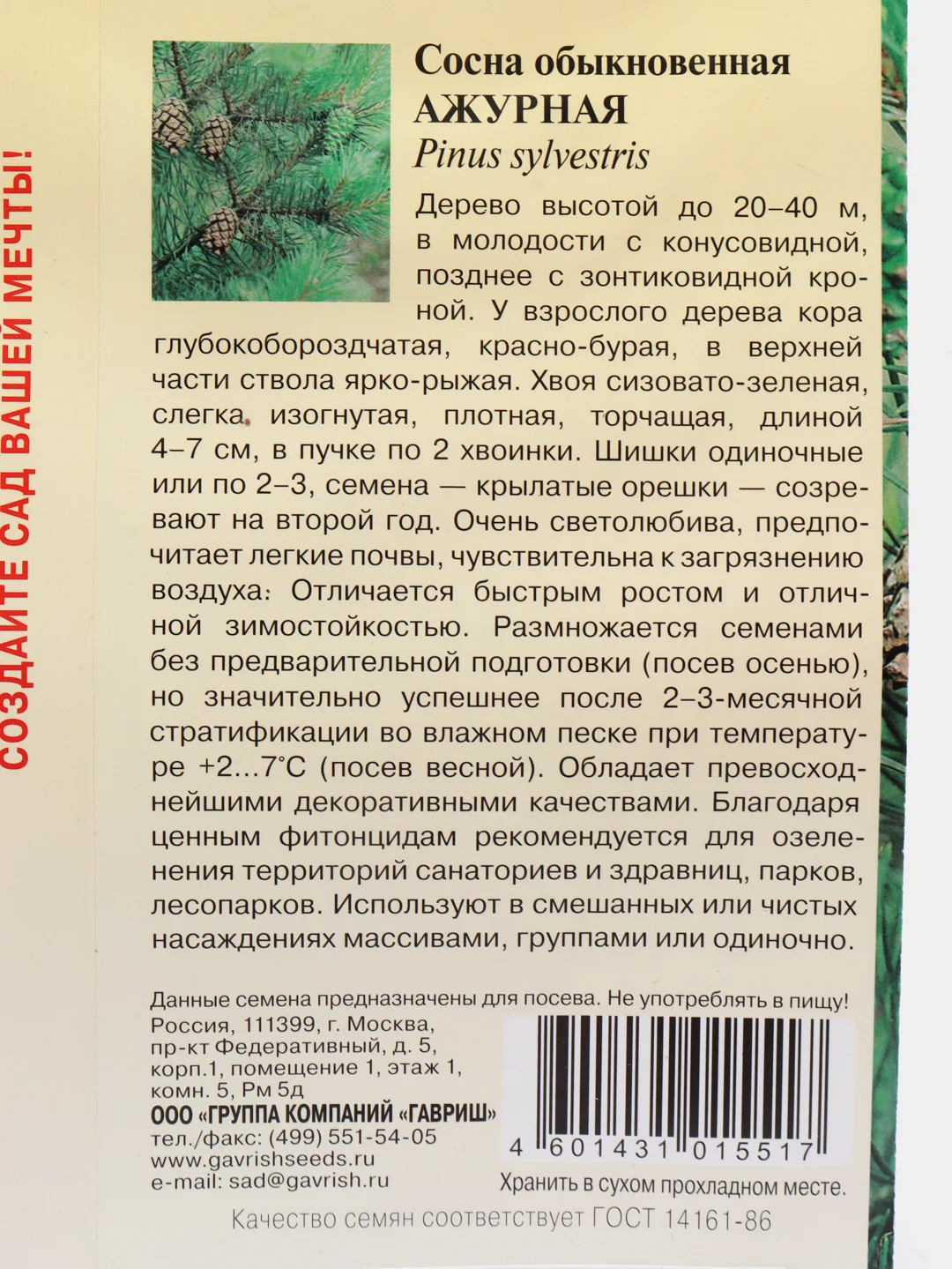 Семена Сосна "Ажурная"