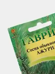 Семена Сосна "Ажурная"