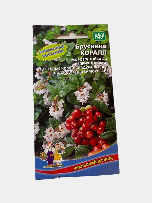 Брусника "Коралл", семена