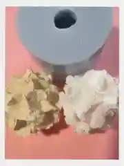 Молд силиконовый гортензия