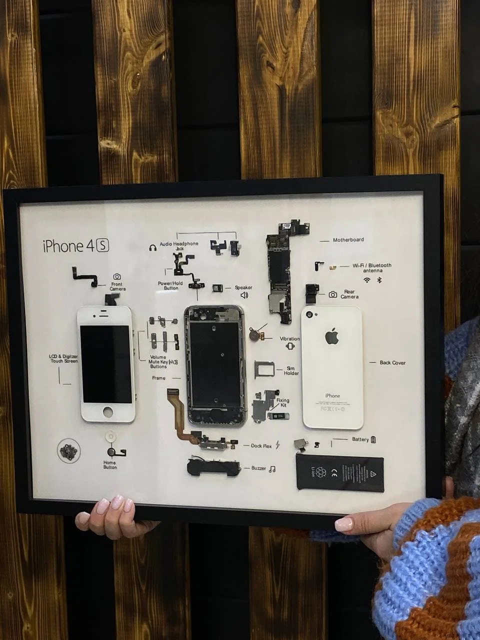 Белый картина настенная разобранная модель iPhone 4s