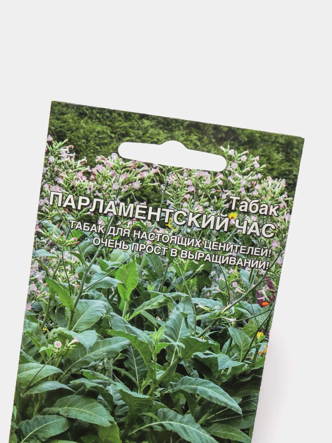 Табак Парламентский час (семена)