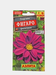 Семена Георгина "Фигаро" фиолетовая