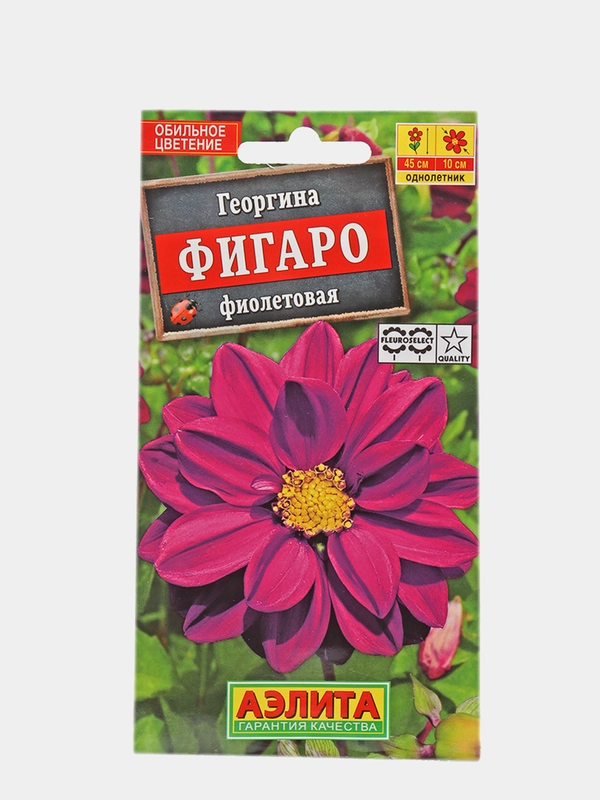 Семена Георгина "Фигаро" фиолетовая