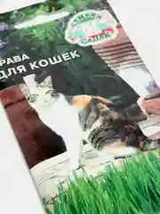 Семена набор 2шт Трава для кошек