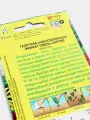 Георгина "Ошеломляющий эффект", смесь сортов, набор по 1, 3, 5 шт