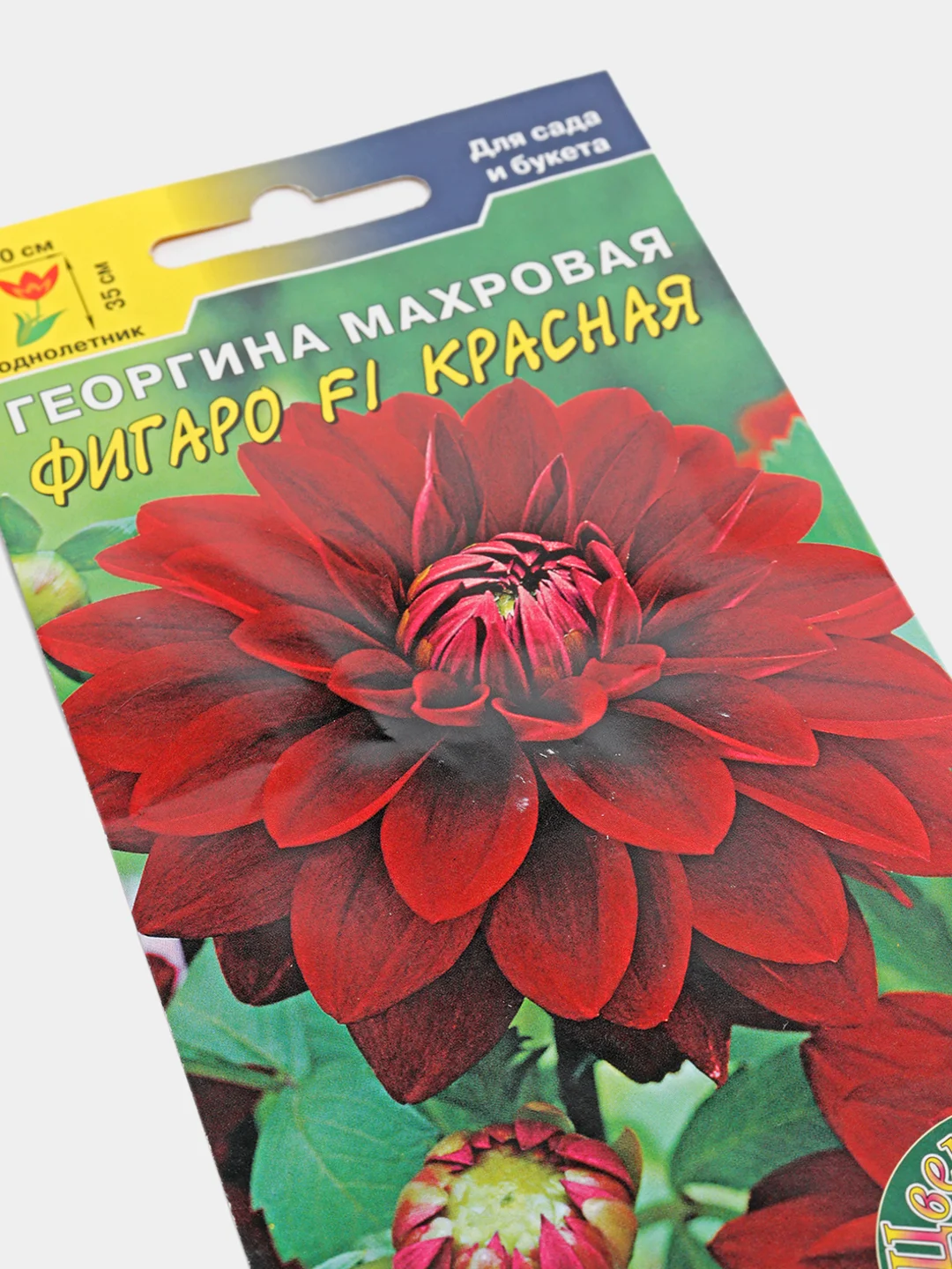 Семена Георгина махровая "Фигаро F1 красная"