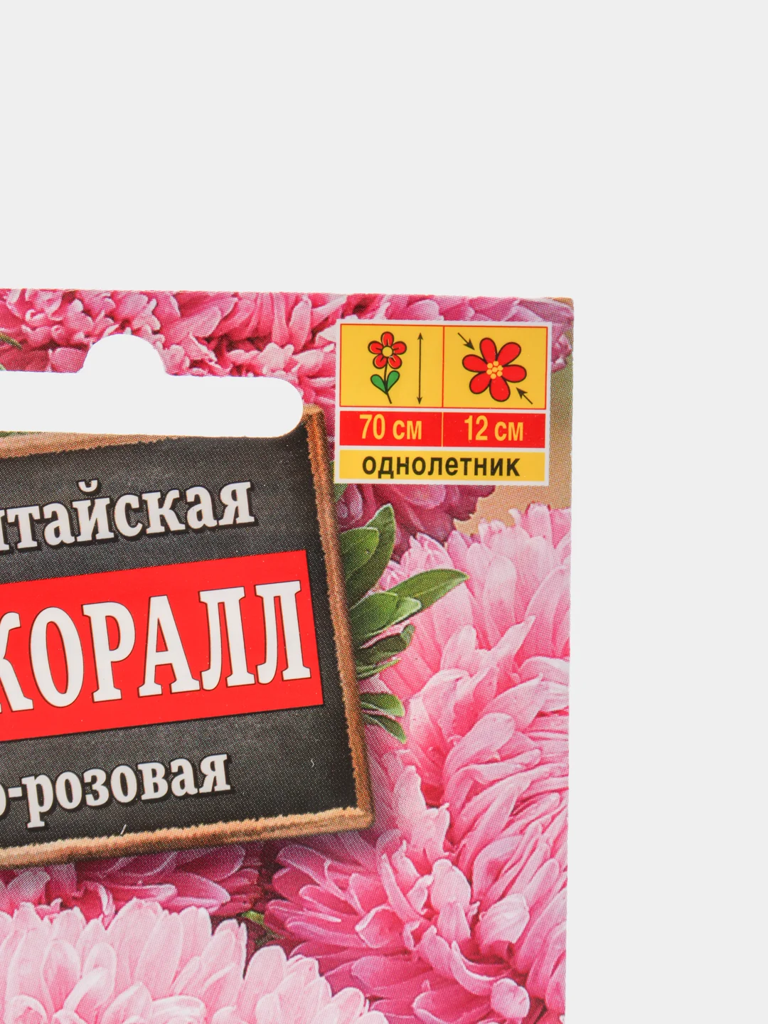 Семена "Астра Леди Коралл", светло-розовая