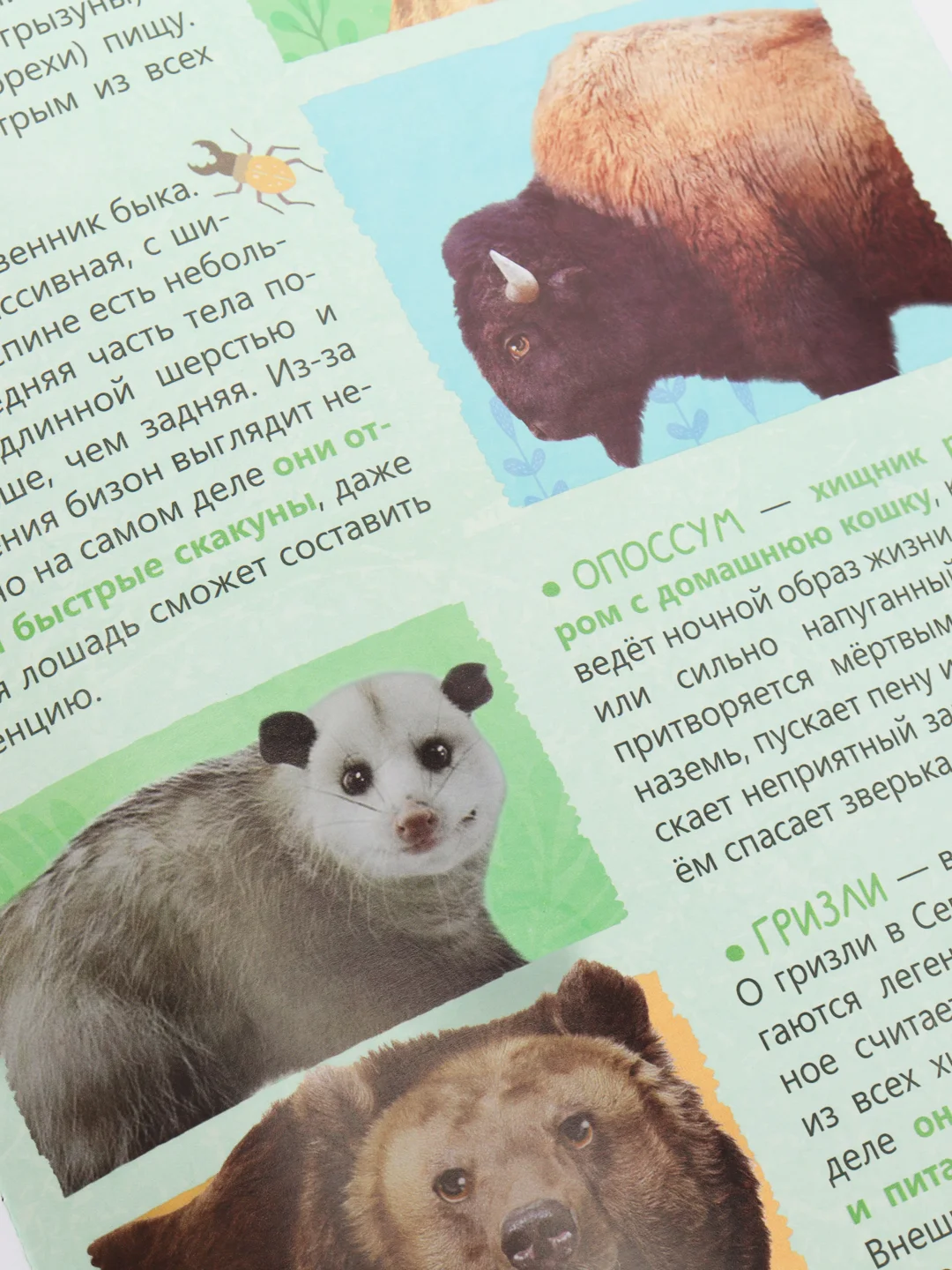 Книжка с наклейками "Животные нашей планеты", 16 страниц