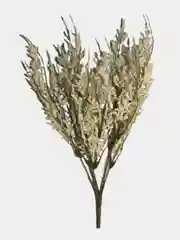 Кремовый любовный цветок "Loversgrass"
