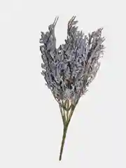 Фиолетовый любовный цветок "Loversgrass"
