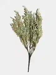Любовный цветок "Loversgrass"