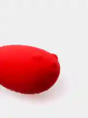 Вибратор красный MAGIC FUGU