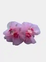 Розовый резинки для волос, 2 штуки