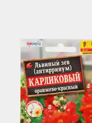 Львиный зев "Карликовый", оранжево-красный (семена)
