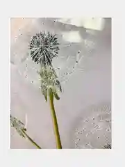 Клеенка на стол KIBER KIBET