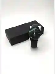 Часы наручные SWISH 918