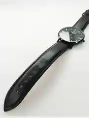 Часы наручные SWISH 918