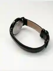 Часы наручные SWISH 918