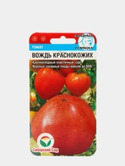 Томат "Вождь Краснокожих"