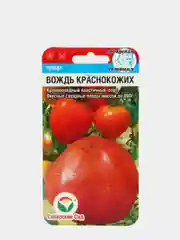 Томат "Вождь Краснокожих"