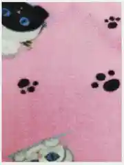 Розовый толстовка детская флисовая