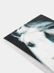 Блокнот "Дикие животные" 40 л, 3D-обложка, BRAUBERG