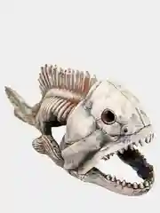 Грот DEKSI Скелет рыбы № 904 (40x15x18см.)