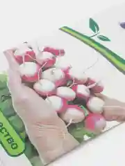 Семена ПАРТНЕР РЕДИС МАРГО (3Г)