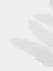 Белый комплект наклеек на авто "Перья"
