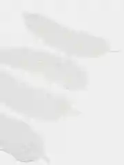 Белый комплект наклеек на авто "Перья"
