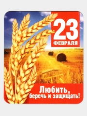 Магнит виниловый "23 февраля", 60 х 70 мм