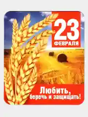 Магнит виниловый "23 февраля", 60 х 70 мм