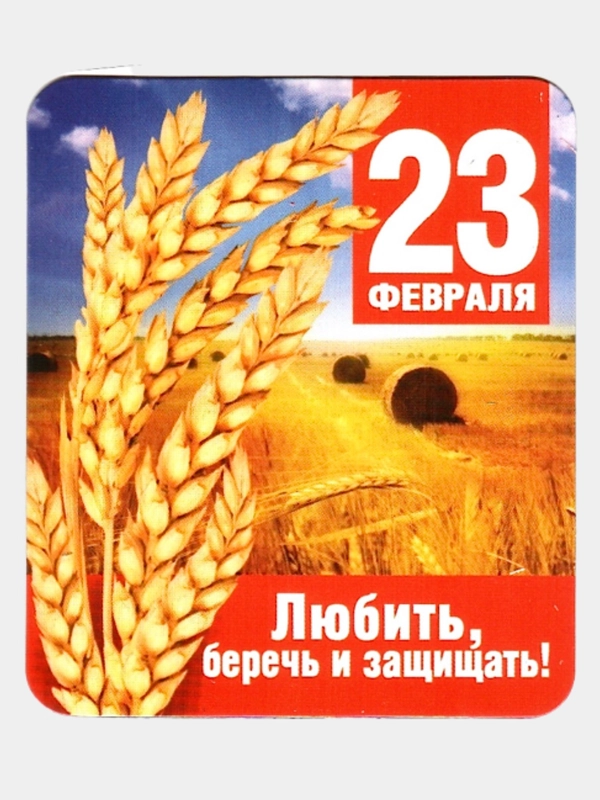 Магнит виниловый "23 февраля", 60 х 70 мм