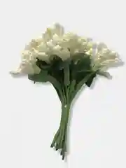 Молочный тычинки с сахарными вставками. 12 штук
