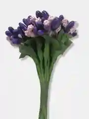 Фиолетовый тычинки с сахарными вставками. 12 штук