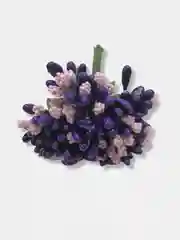 Фиолетовый тычинки с сахарными вставками. 12 штук