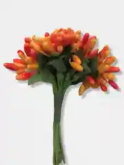 Оранжевый тычинки гладкие двухцветные. 12 штук