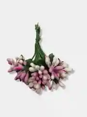 Розовый тычинки гладкие двухцветные. 12 штук