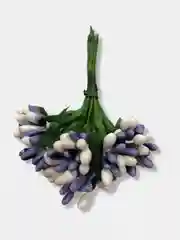 Сиреневый тычинки гладкие двухцветные. 12 штук